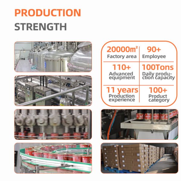 100% Puree Tomato Paste Ketchup