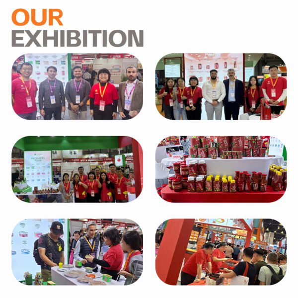 100% Puree Tomato Paste Ketchup